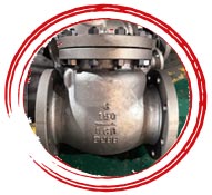 2.4816 Inconel 600 Lift Check Valve