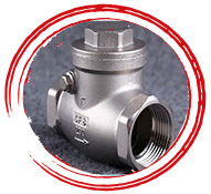 2507 Swing Check Valve