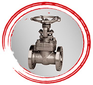 254 SMO Gate Valve