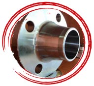 904L SS Weld Neck Flange