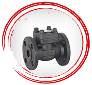 A105N Check Valve