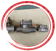 A182 F20 Check Valve