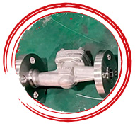 A182 F20 Lift Check Valve