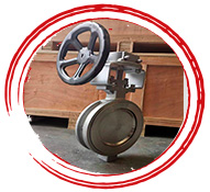 A182 F22 Butterfly Valve