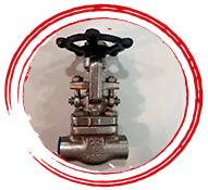 A182 F321 Globe Valve