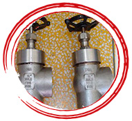 A182 F347H Globe Valve