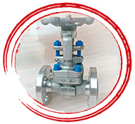 A182 F347H Stainless Steel Valve