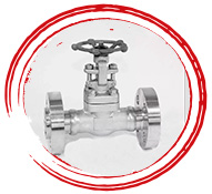 Titanium Exhaust Valves