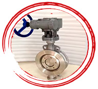 A217 C5 Butterfly Valves