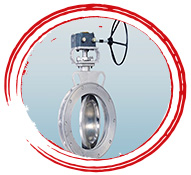 A350 LF2 Butterfly Valve