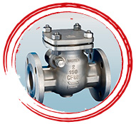 A351 Gr CN7M Check Valve
