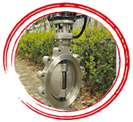 A352 Butterfly Valves