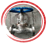 A494 CW6MC inconel 625 Globe Valves