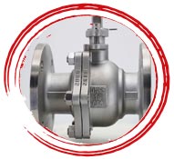 Alloy 400 Trim Ball 3Way Check Valve
