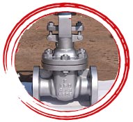 Alloy 600 Hydraulic Globe Valve