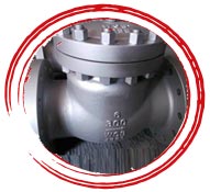 Alloy 904L Trim Ball 3Way Check Valve