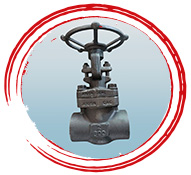 API 602 Forged Steel 2 Piece Design Ball Valve