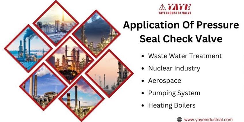Application Of Pressure Seal Check Valve