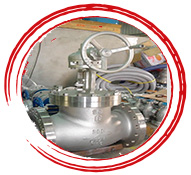 ASME SA 351 grade CF8m Globe Valve