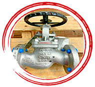 ASME SA 494 CY40 Class 2 Valves