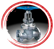 ASME SA351 CF8C Gate Valve