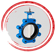 ASME SA351 Gr CN7M Butterfly Valves