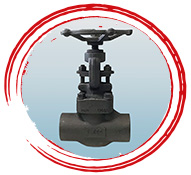 ASTM A105 Globe Valves