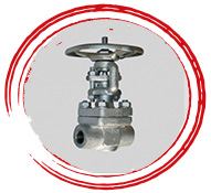 ASTM A182 F11 Valve