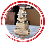 ASTM A182 F20 Gate Valve