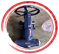 ASTM A182 F20 Globe Valve