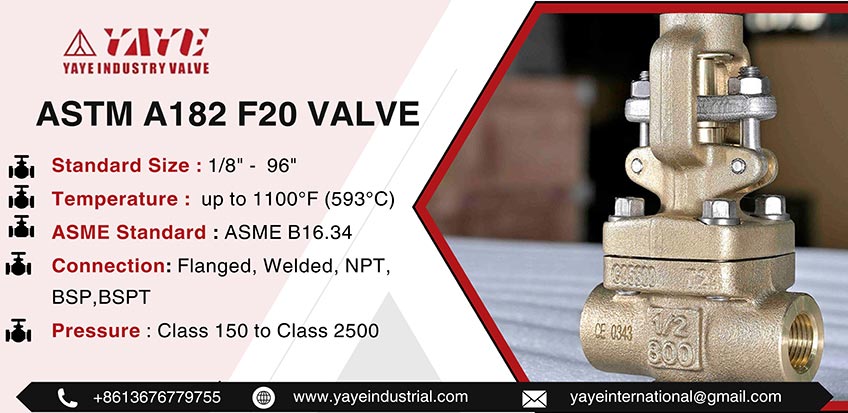 ASTM A182 F20 Valve