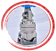 ASTM A182 F20 Valve