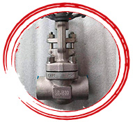 ASTM A182 F22 Valve
