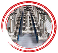 Astm A182 F304 Cryogenic Valve