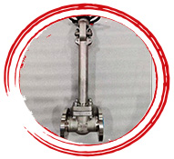 Astm A182 F304 Valve