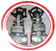 ASTM A182 F316 Forged Steel Gate Valve