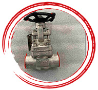 ASTM A182 F316 Gate Valve