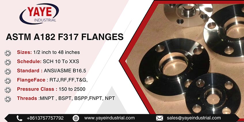 ASTM A182 F317 Flanges