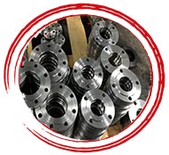 ASTM A182 F51 UNS S32205 Flanges
