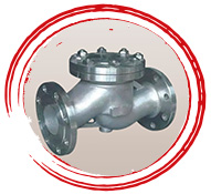ASTM A182 F53 UNS S32760 Lift Check Valve