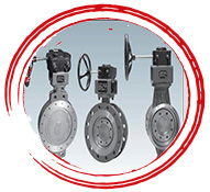 ASTM A182 F9 Butterfly Valve