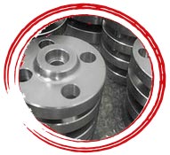 ASTM A182 F904L flange