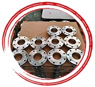 ASTM A182 F91 Flanges