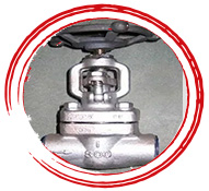 ASTM A182 F91 Valve