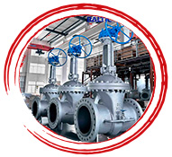    ASTM A494 Hastelloy C22 Valves Gate Valve