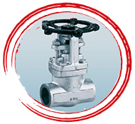 ASTM A217 Alloy Steel Reducing Valve
