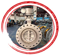ASTM A217 gr C12 Butterfly Valves
