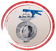 ASTM A350 LF2 Double Flanged Butterfly Valve