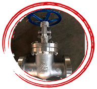 ASTM A351 CE3MN Valves