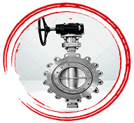 ASTM A351 CF8C Valve Butterfly Valves